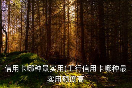 信用卡哪种最实用(工行信用卡哪种最实用额度高