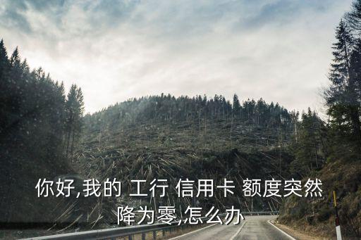 工行信用卡解冻没额度