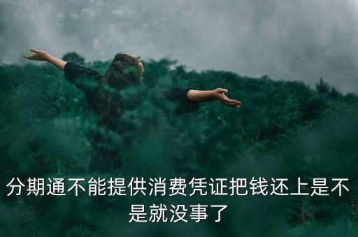 分期通不能提供消费凭证把钱还上是不是就没事了