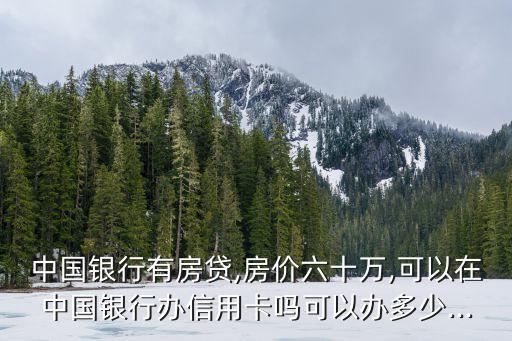在银行有按揭办信用卡额度,按揭车可以去银行办信用卡吗