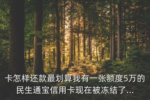 卡怎样还款最划算我有一张额度5万的民生通宝信用卡现在被冻结了...
