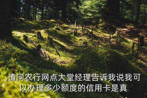 ,请问农行网点大堂经理告诉我说我可以办理多少额度的信用卡是真