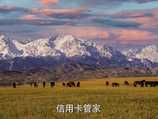 信用卡还款那个软件不收费,那个软件不花钱还信用卡