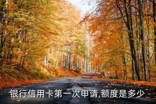银行信用卡第一次申请,额度是多少
