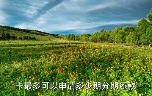 卡最多可以申请多少期分期还款
