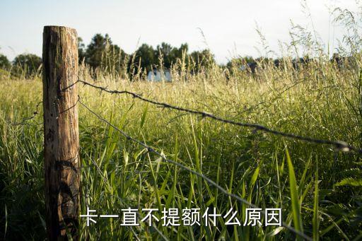 卡一直不提额什么原因