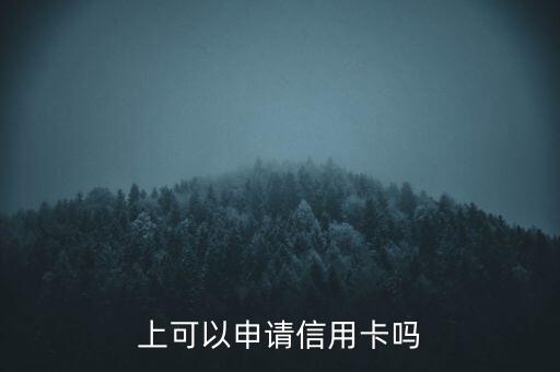 上可以申请信用卡吗