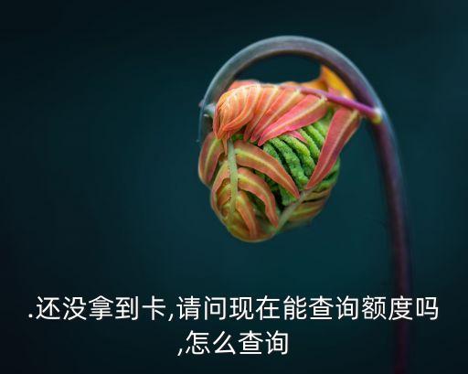 .还没拿到卡,请问现在能查询额度吗,怎么查询