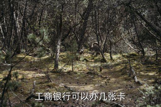工商银行可以办几张卡