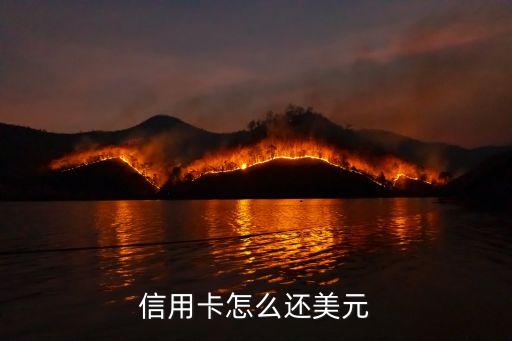 信用卡怎么还美元