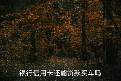 银行信用卡还能贷款买车吗