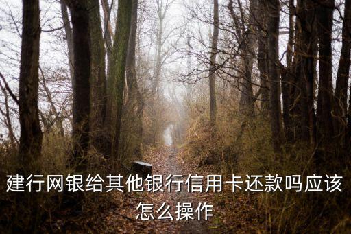 建行网银给其他银行信用卡还款吗应该怎么操作
