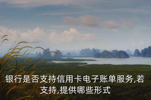 银行是否支持信用卡电子账单服务,若支持,提供哪些形式