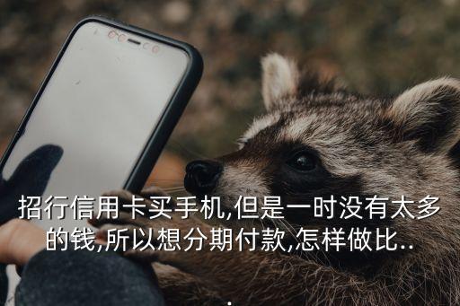 招行信用卡买手机,但是一时没有太多的钱,所以想分期付款,怎样做比...