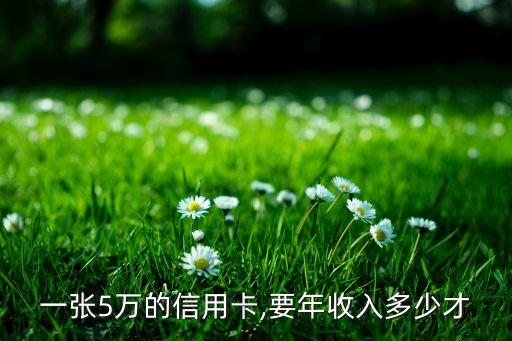 一张5万的信用卡,要年收入多少才