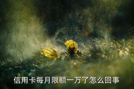 信用卡每月限额一万了怎么回事