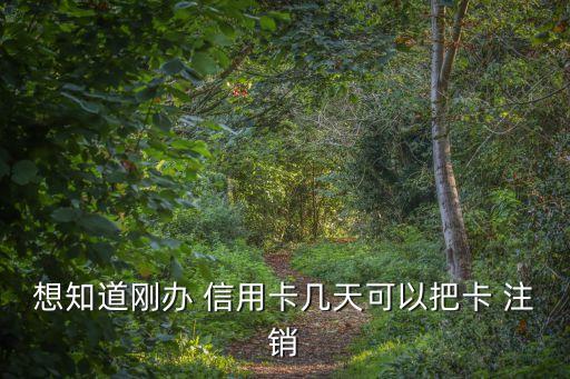 刚申请的信用卡可以注销么,注销信用卡重新申请容易过吗