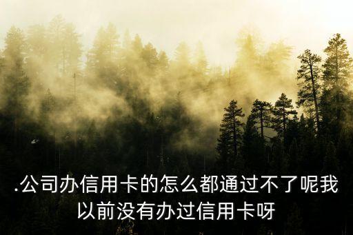 .公司办信用卡的怎么都通过不了呢我以前没有办过信用卡呀