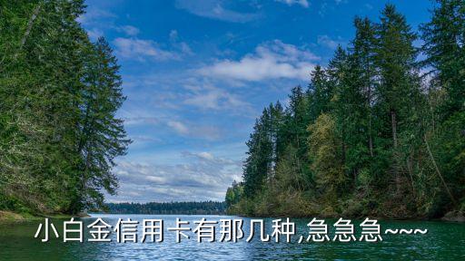 小白金信用卡有那几种,急急急~~~