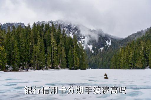 银行信用卡分期手续费高吗