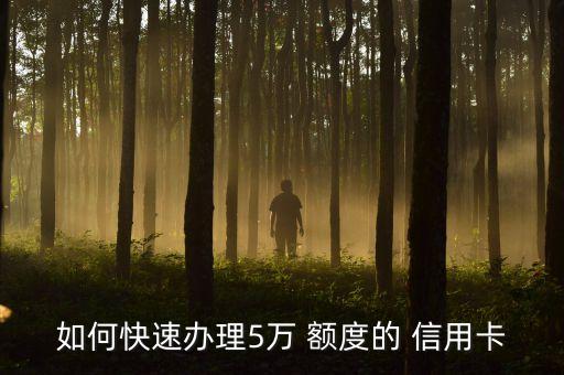 如何快速办理5万 额度的 信用卡