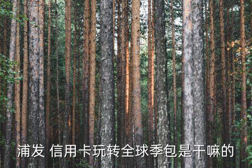 浦发银行信用卡送溜娃神器,办浦发银行信用卡送什么东西