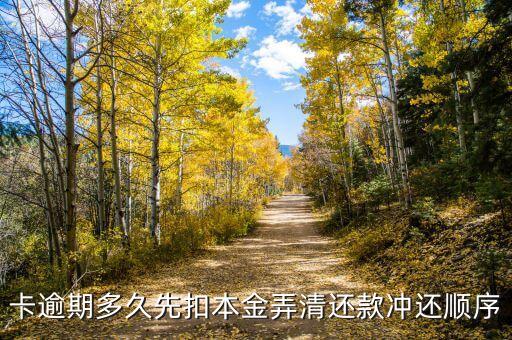 卡逾期多久先扣本金弄清还款冲还顺序