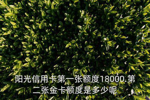 阳光信用卡第一张额度18000.第二张金卡额度是多少呢