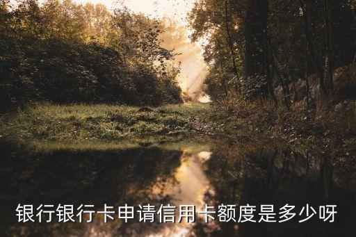 银行银行卡申请信用卡额度是多少呀