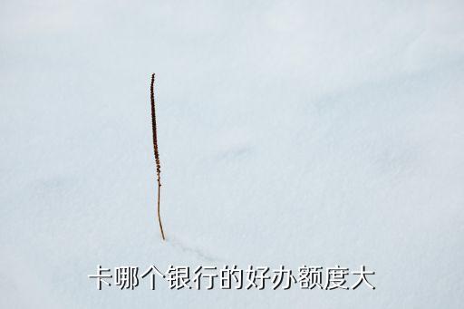 卡哪个银行的好办额度大