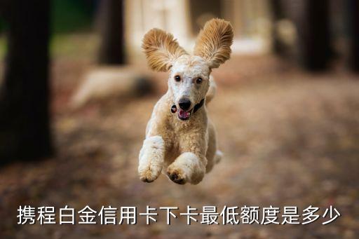 携程白金信用卡下卡最低额度是多少