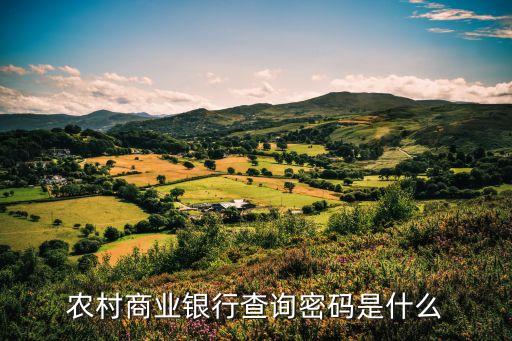 农村商业银行查询密码是什么