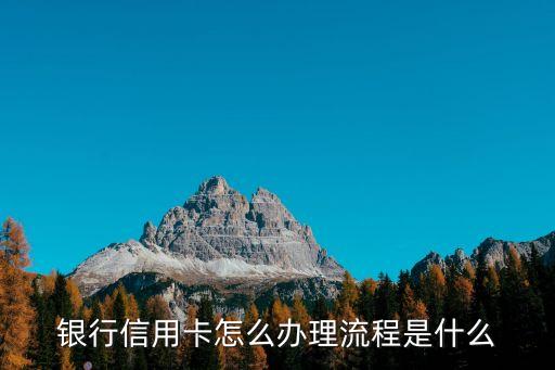 银行信用卡怎么办理流程是什么