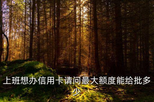 上班想办信用卡请问最大额度能给批多少