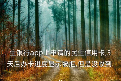 生银行app上申请的民生信用卡,3天后办卡进度显示被拒,但是没收到...