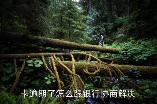 信用卡逾期后的处理,最新信用卡逾期处理