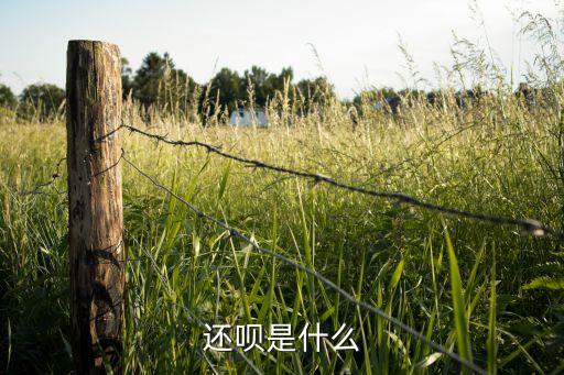 申请还呗要信用卡吗,无工作申请必过的信用卡