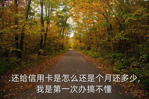 怎样初次申请信用卡还款,信用卡如何申请延期还款