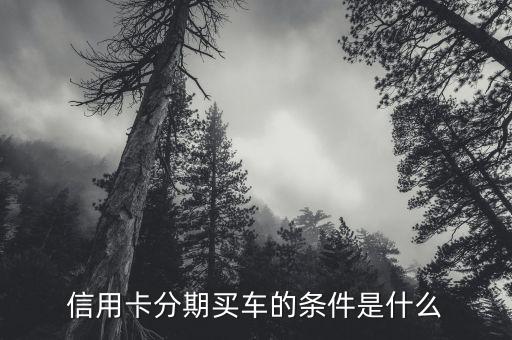 信用卡分期买车的条件是什么