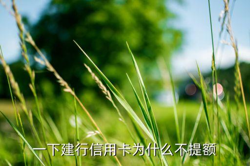 一下建行信用卡为什么不提额