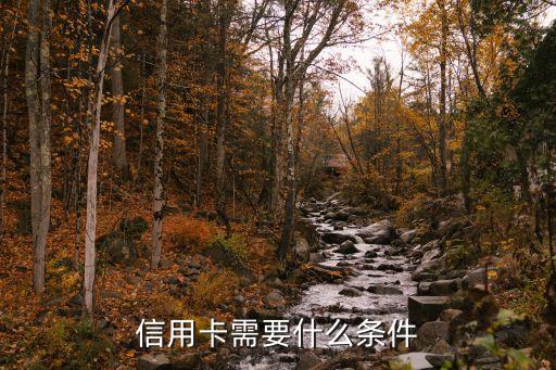 纽约银行信用卡申请条件,银行信用卡申请条件