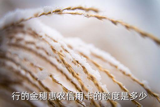行的金穗惠农信用卡的额度是多少