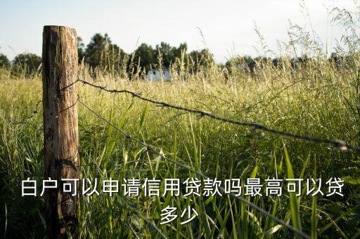  白户可以申请信用贷款吗最高可以贷多少