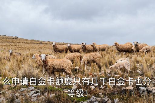 么申请白金卡额度只有几千白金卡也分等级!