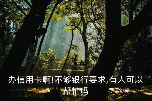 办信用卡啊!不够银行要求,有人可以帮忙吗