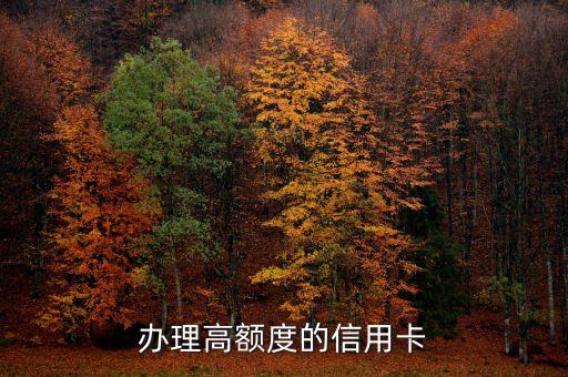 办理高额度的信用卡