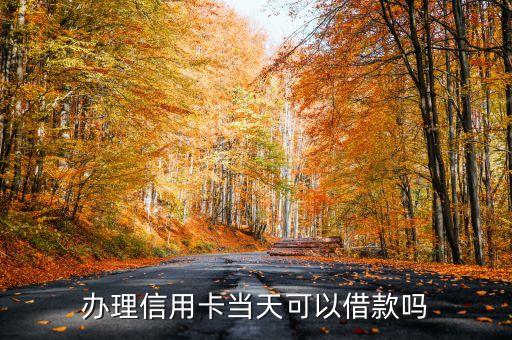 办理信用卡当天可以借款吗