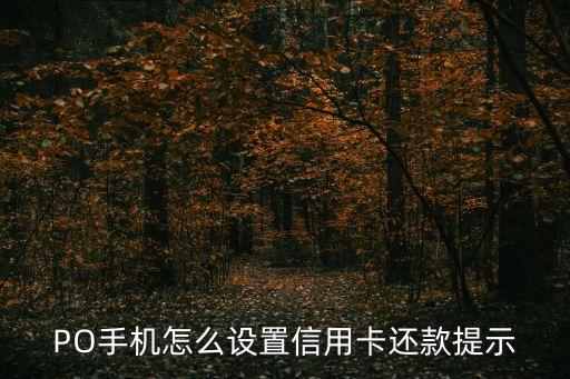PO手机怎么设置信用卡还款提示