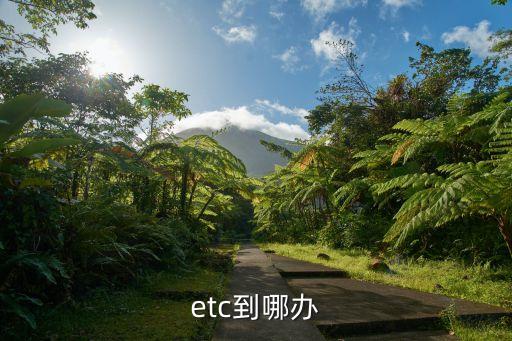 etc到哪办