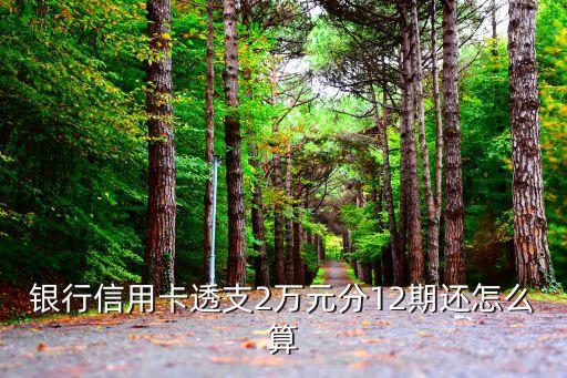银行信用卡透支2万元分12期还怎么算